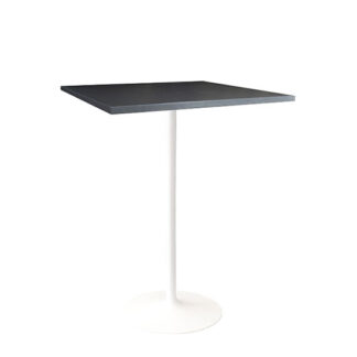 Stehtisch SNOW L80·B80·H110 cm, Platte anthrazit
