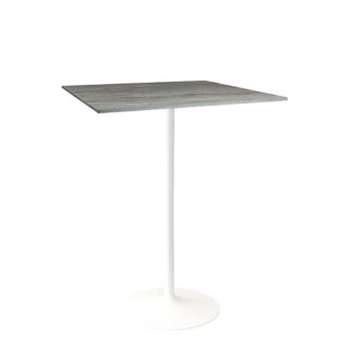 Stehtisch SNOW L80·B80·H110 cm grau
